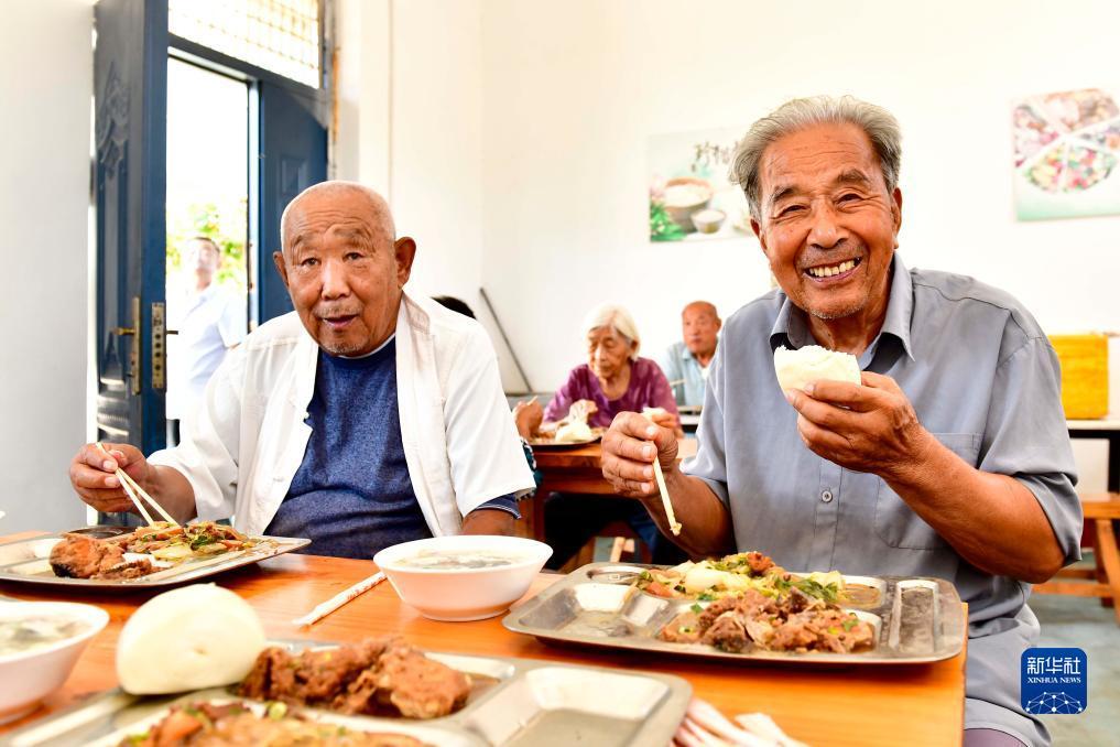 开户免费送白菜